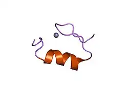 3znf: HIGH-RESOLUTION THREE-DIMENSIONAL STRUCTURE OF A SINGLE ZINC FINGER FROM A HUMAN ENHANCER BINDING PROTEIN IN SOLUTION