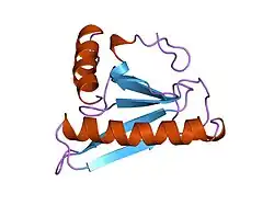 4fit: FHIT-APO