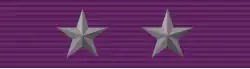 Regiment leader