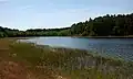 A Lobelian lake