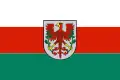 Flag of Gmina Choszczno