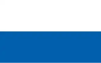 Flag of Koszalin