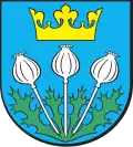 Maków Podhalański