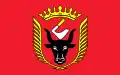 Flag of Gmina Wiskitki