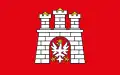 Flag of Zgierz