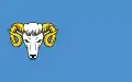 Flag of Gmina Baranów