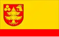 Flag of Gmina Pionki
