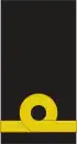 A single gold stripe with an executive curl in the center