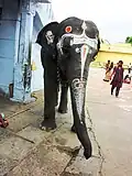 Painted temple elephant - Kanchipuram, Tamil Nadu.