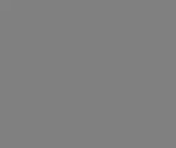 Pak, The Pixel, 2021.