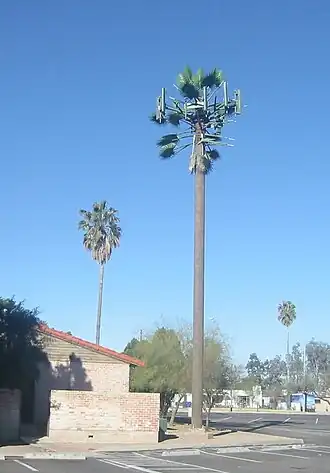 Camouflaged monopole, called "monopalm", in Tucson, Arizona