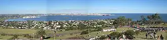 View of a largely urbanised harbour from a park on a hill