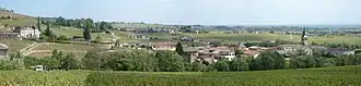 A panoramic view of Chénas