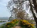 Walkway through the lake