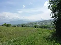 Parkuh