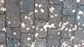 Projection through leaves in Woerden, Netherlands, 10:30 UTC