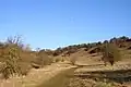 t Catherine's Hill
