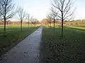 Winter 'New Horizon' avenue, Pontcanna Fields, Cardiff (2011)[15]