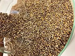 Grains