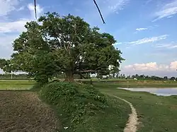Ghibaha(Peeple) Pond