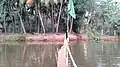 Kamuku bridge
