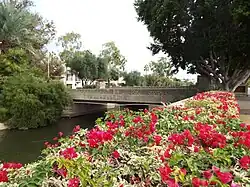 Hotel bridge