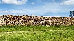 Piles of chopped dry ecalyptus wood next to Igara Secondary school near Butare town in Bushenyi district in Western Uganda 05