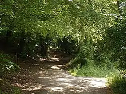 Image 24 Credit: Oliver Dixon The Pilgrims' Way is the route supposed to have been taken by pilgrims from Winchester in Hampshire, England, to the shrine of Thomas Becket at Canterbury in Kent. More about the Pilgrims' Way... (from Portal:Kent/Selected pictures)