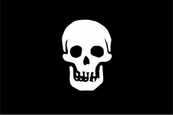 An artistic interpretation of the death's head flag as described by Edward Green.