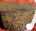 Vadose pisoliths and "birdseyes" in coastal carbonate sand, emergent; outer shelf