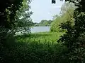 Pitsford Water