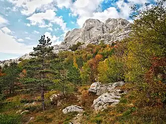 Veliko Rujno