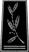 Commissaire divisionnaire (Divisional Commissioner of police)