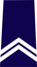 Gardien de la paix (keeper of the peace)