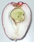 Halved ripe fruit, showing seed