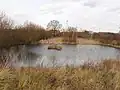Pond