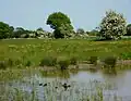 Mellis Common