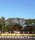 Court