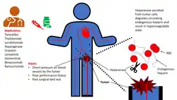 https://doi.org/10.3390/cancers12030566