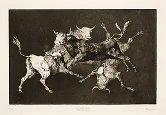 Disparate de toritos, 24,3 x 35,5&nbsp;cm. (platemark)/30,6 x 44,5&nbsp;cm. (sheet)