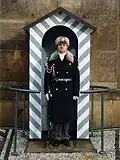 Winter uniform
