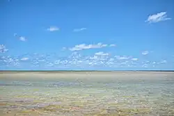 Tatuamunha Beach