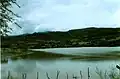 Presa