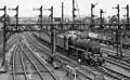 Southward view from the station in 1959