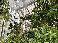 Primary greenhouse roof.