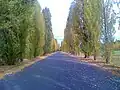 Avenue Principale