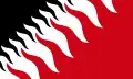 Design E - Rizwan Jamil. The flame pattern combined with the colours of black and red invoke the era when the Black Country was described as being "black by day (due to the smoke in the sky) and red by night" (due to the glow of the furnace fires).[3]