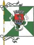 Flag of Amarante
