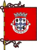 Flag of City of Silves