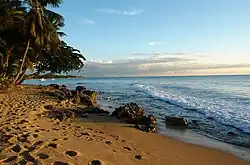 Beach in Rincón